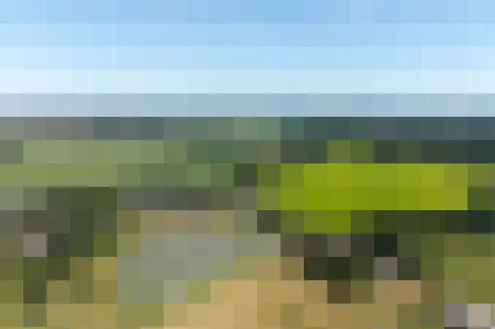 Balloo 90 Balloo thumbnail 61