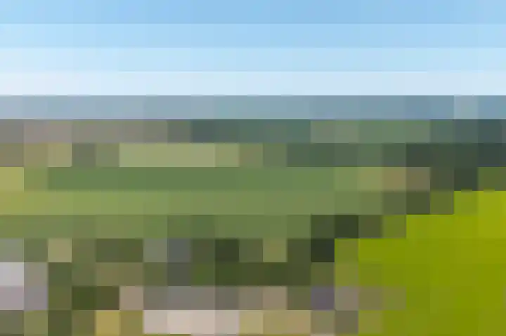 Balloo 90 Balloo thumbnail 63