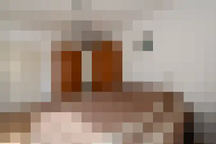 Ballumerbocht 12 Emmeloord thumbnail 15