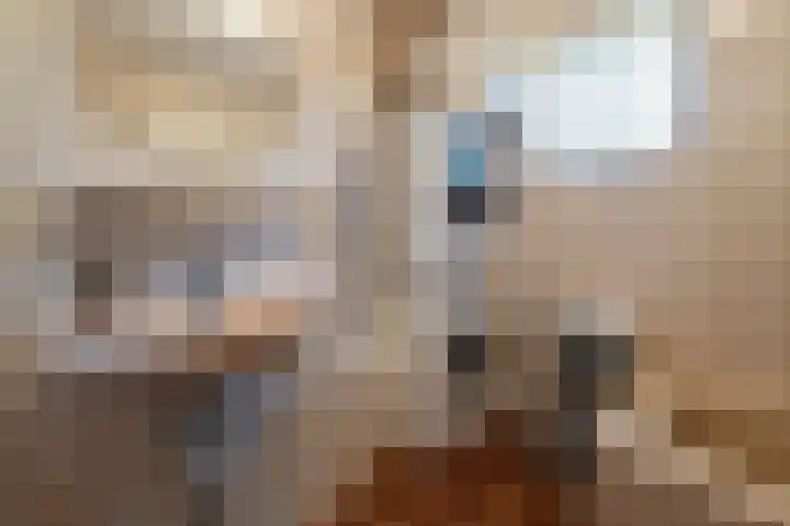 Ballumerbocht 12 Emmeloord thumbnail 17