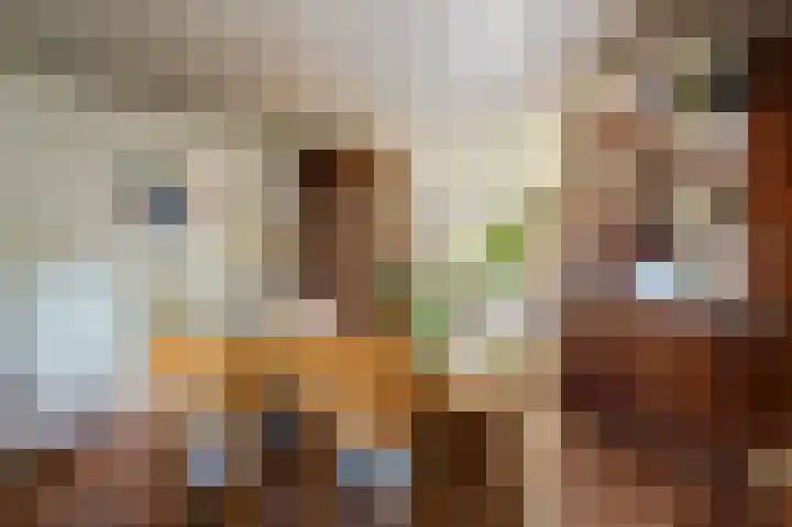 Ballumerbocht 12 Emmeloord thumbnail 23