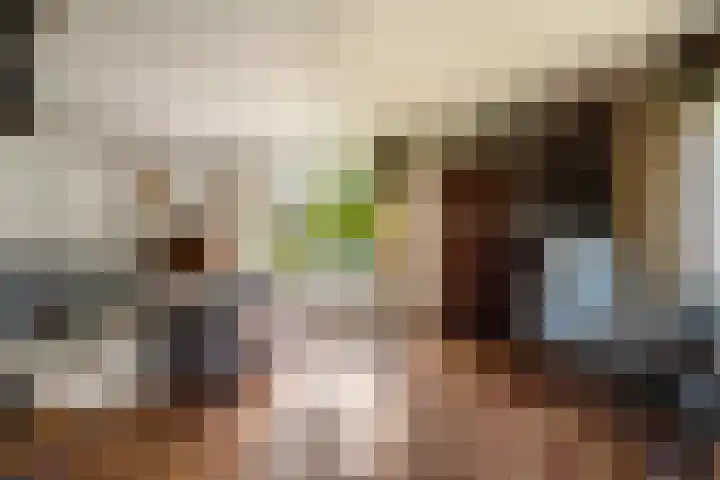 Ballumerbocht 12 Emmeloord thumbnail 24