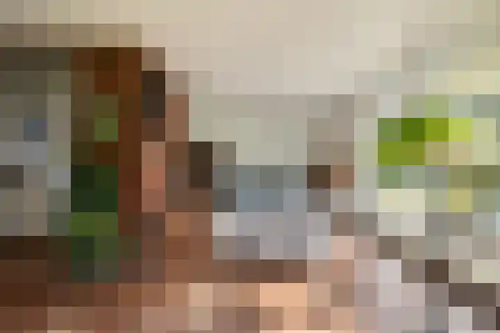 Ballumerbocht 12 Emmeloord thumbnail 26
