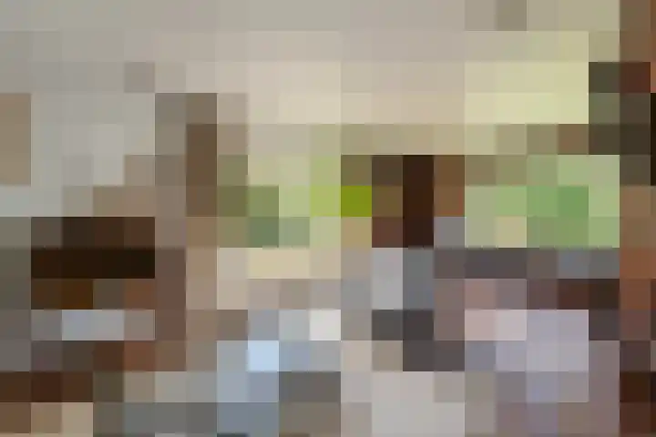 Ballumerbocht 12 Emmeloord thumbnail 31
