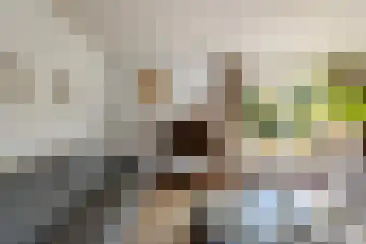 Ballumerbocht 12 Emmeloord thumbnail 32
