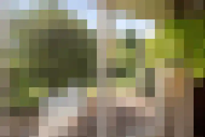 Ballumerbocht 12 Emmeloord thumbnail 33
