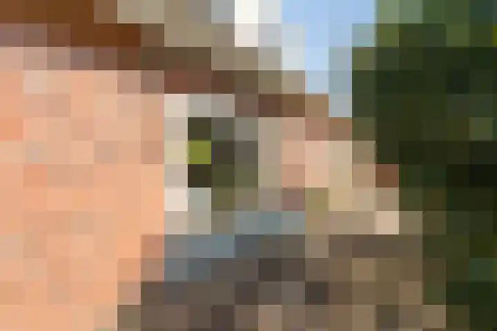 Ballumerbocht 12 Emmeloord thumbnail 34