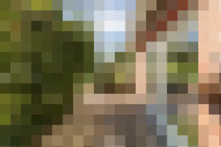 Ballumerbocht 12 Emmeloord thumbnail 35