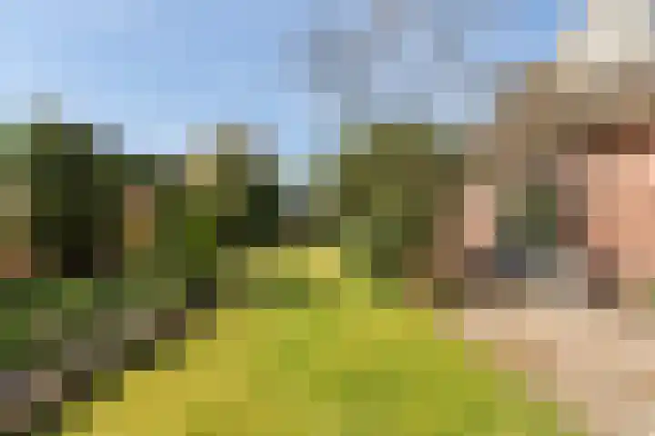 Ballumerbocht 12 Emmeloord thumbnail 36