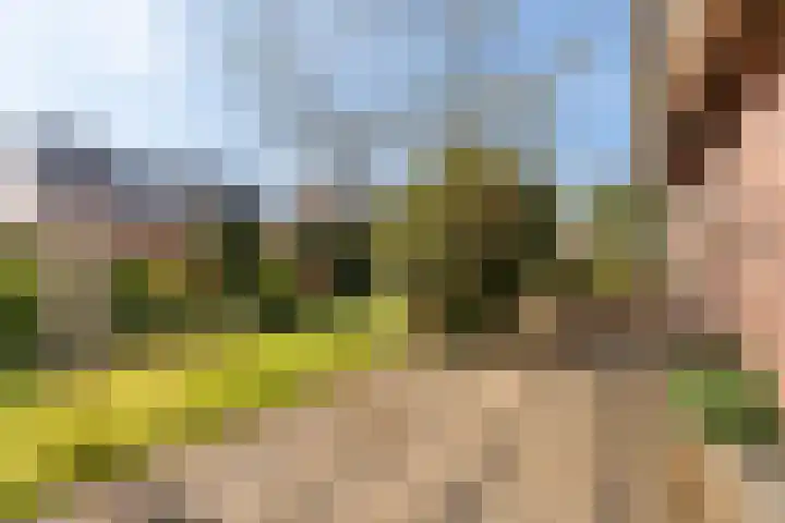 Ballumerbocht 12 Emmeloord thumbnail 37