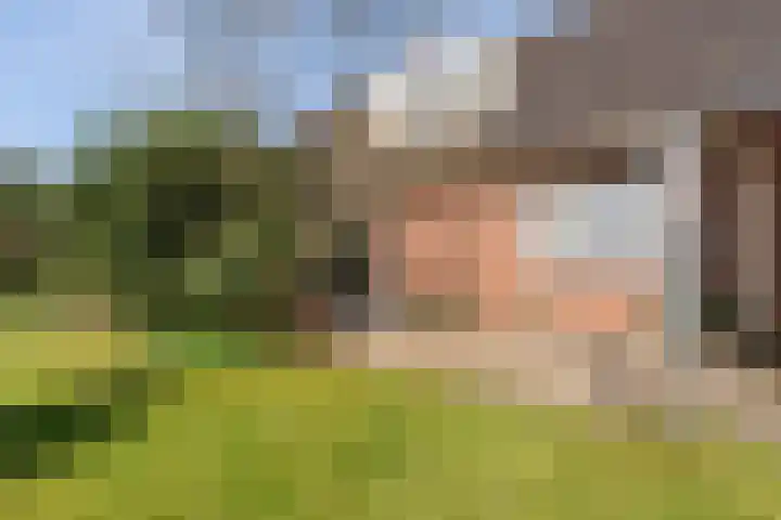 Ballumerbocht 12 Emmeloord thumbnail 38
