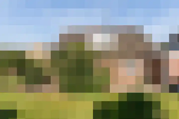 Ballumerbocht 12 Emmeloord thumbnail 39