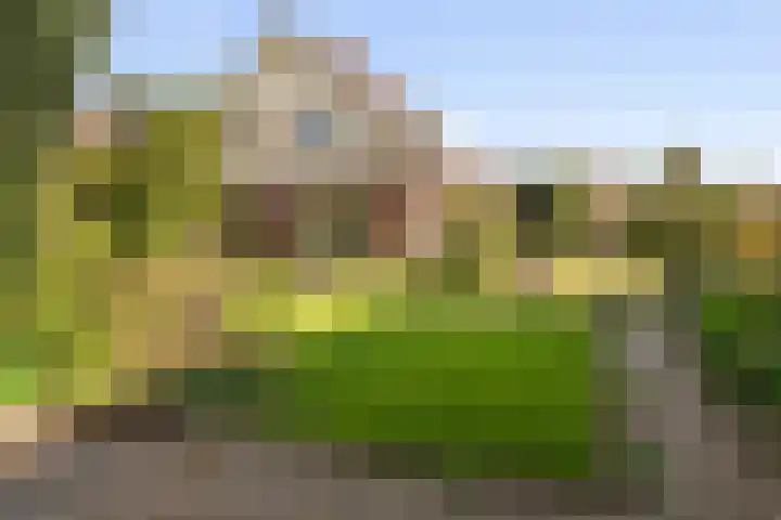 Ballumerbocht 12 Emmeloord thumbnail 4
