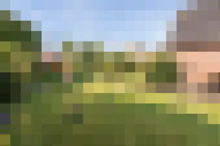 Ballumerbocht 12 Emmeloord thumbnail 40