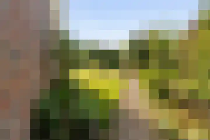 Ballumerbocht 12 Emmeloord thumbnail 41
