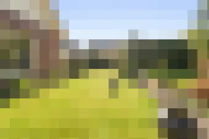 Ballumerbocht 12 Emmeloord thumbnail 42