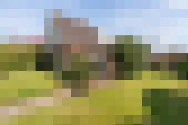 Ballumerbocht 12 Emmeloord thumbnail 43