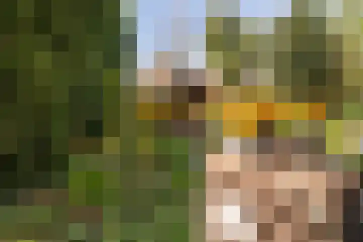 Ballumerbocht 12 Emmeloord thumbnail 44