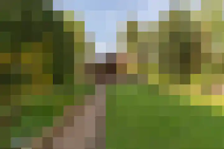 Ballumerbocht 12 Emmeloord thumbnail 45