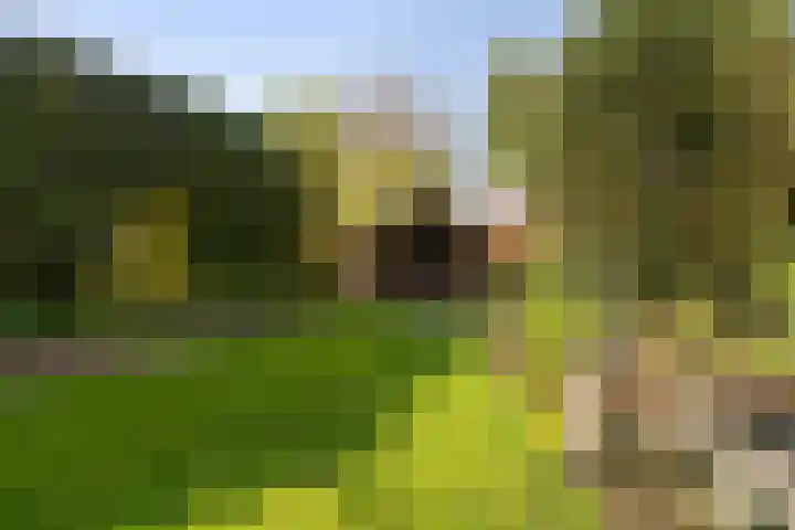 Ballumerbocht 12 Emmeloord thumbnail 46