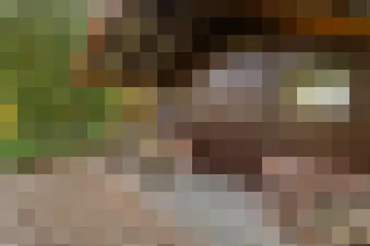 Ballumerbocht 12 Emmeloord thumbnail 47