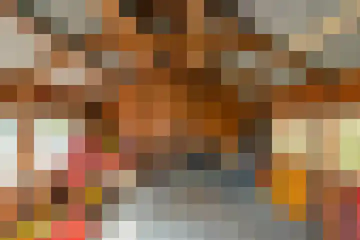 Ballumerbocht 12 Emmeloord thumbnail 48