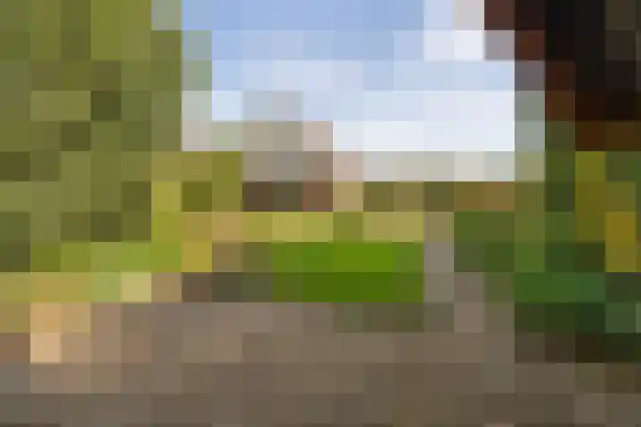 Ballumerbocht 12 Emmeloord thumbnail 49