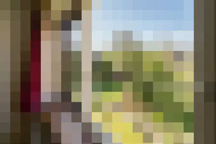 Ballumerbocht 12 Emmeloord thumbnail 53