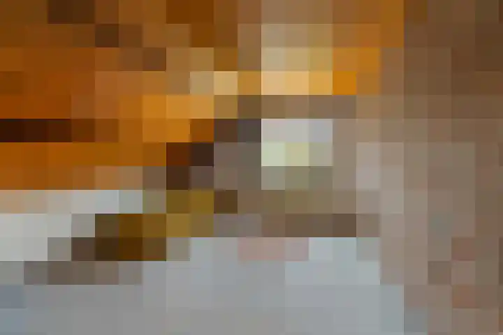Ballumerbocht 12 Emmeloord thumbnail 56