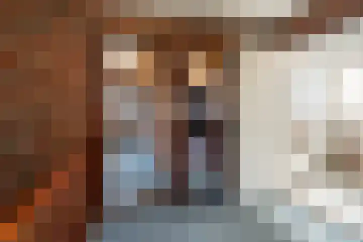 Ballumerbocht 12 Emmeloord thumbnail 59
