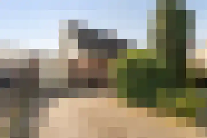 Ballumerbocht 12 Emmeloord thumbnail 6