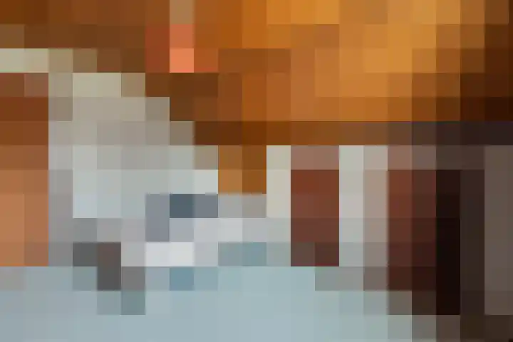 Ballumerbocht 12 Emmeloord thumbnail 61