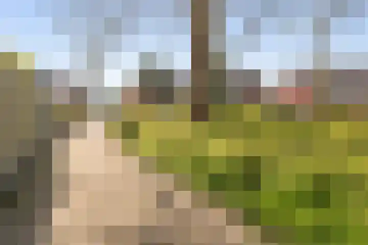 Ballumerbocht 12 Emmeloord thumbnail 62