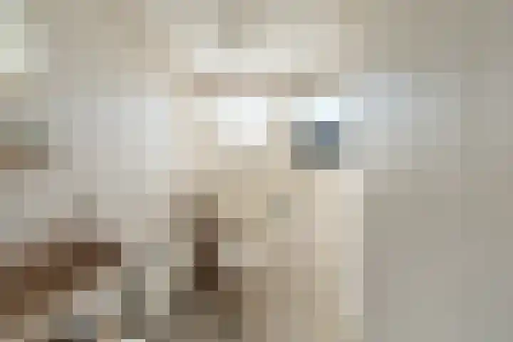 Ballumerbocht 12 Emmeloord thumbnail 66