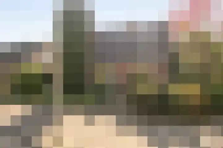 Ballumerbocht 12 Emmeloord thumbnail 8