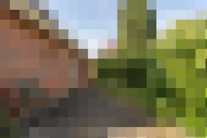 Ballumerbocht 12 Emmeloord thumbnail 9