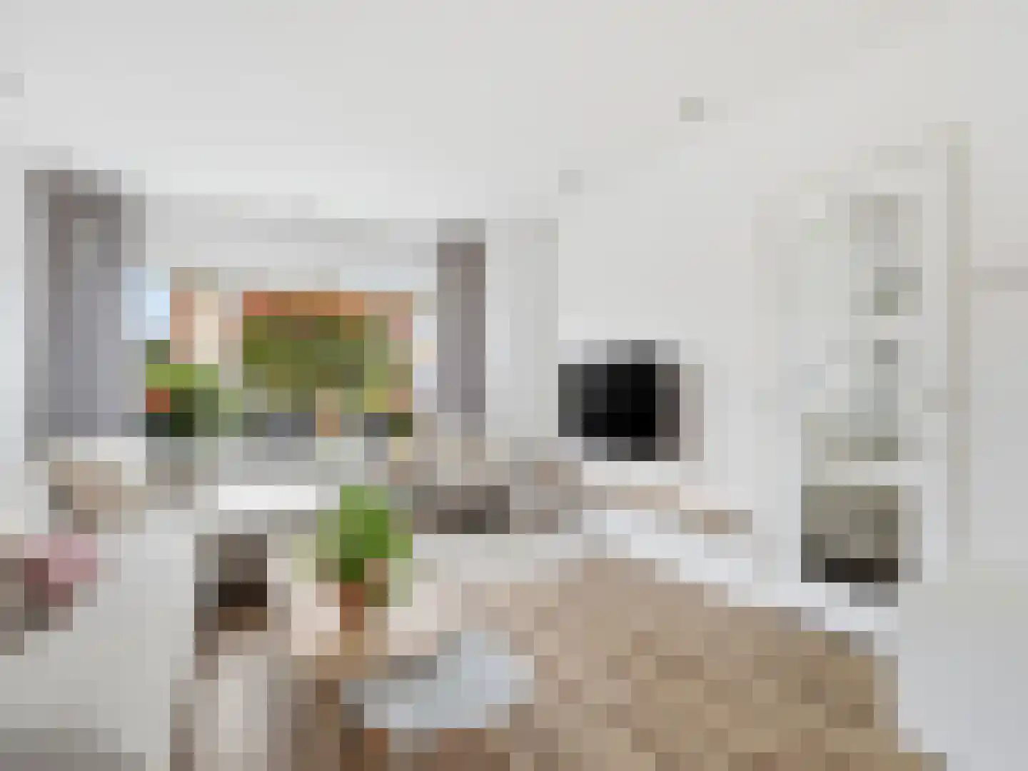 Balmerstraat 38 Apeldoorn thumbnail 6