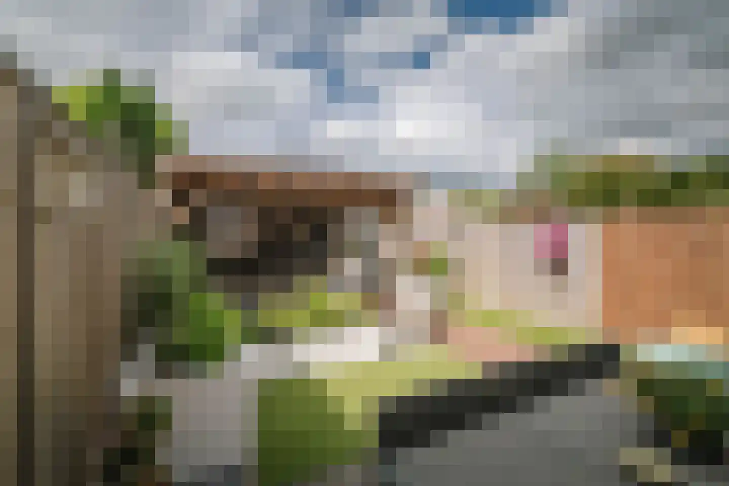 Balmerstraat 40 Apeldoorn thumbnail 15