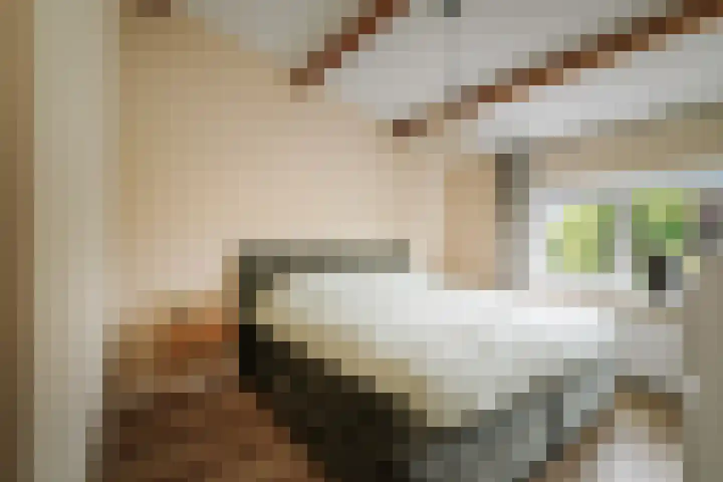 Balmerstraat 40 Apeldoorn thumbnail 20