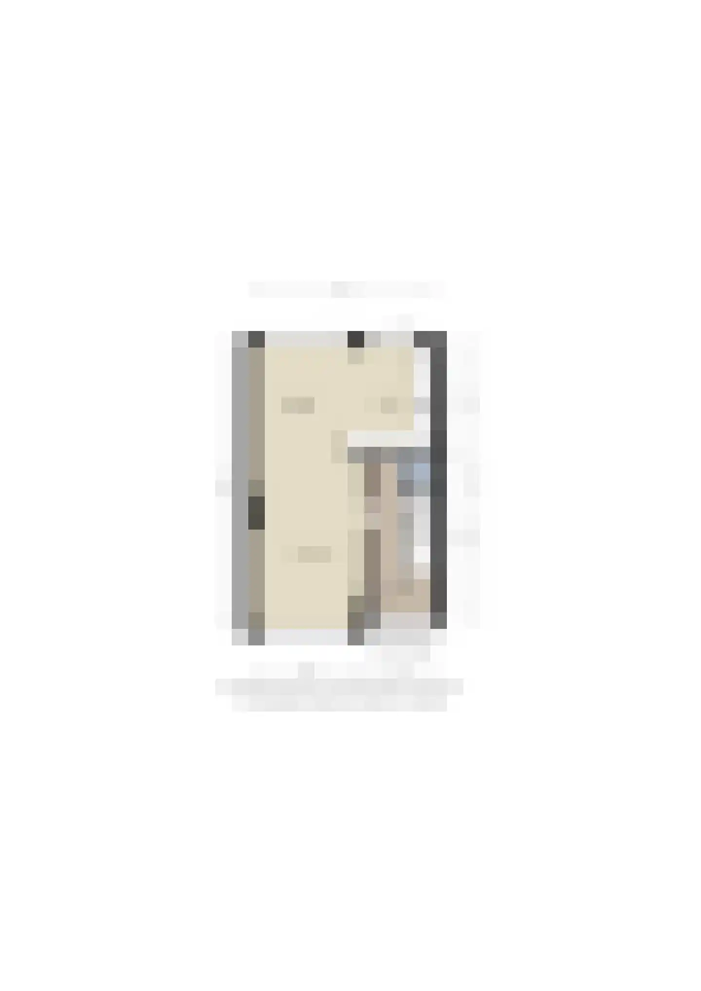 Balmerstraat 40 Apeldoorn thumbnail 27