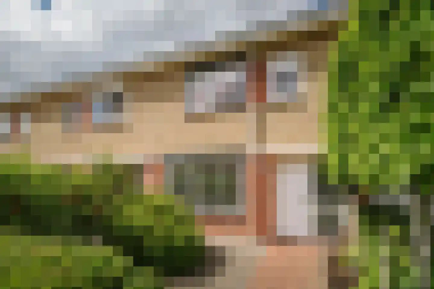 Balmerstraat 40 Apeldoorn thumbnail 4