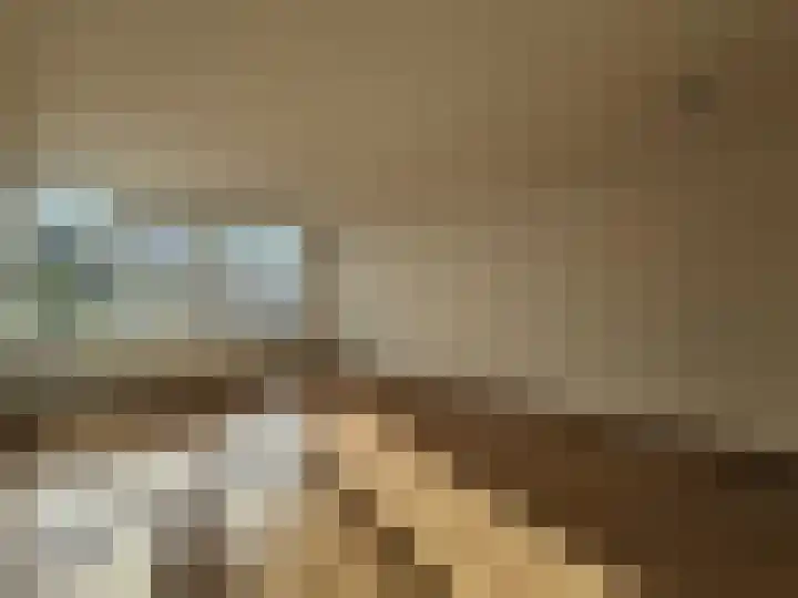 Baloeranstraat 119 Rotterdam thumbnail 5