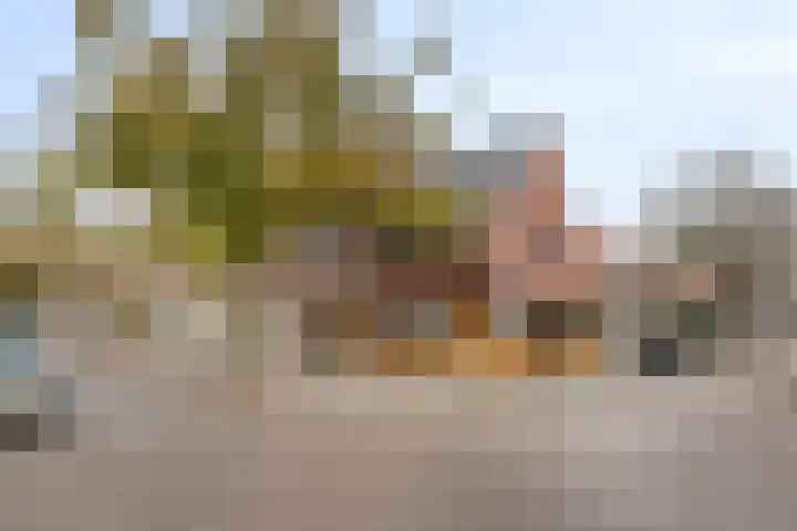 Baloeranstraat 47 in Rotterdam