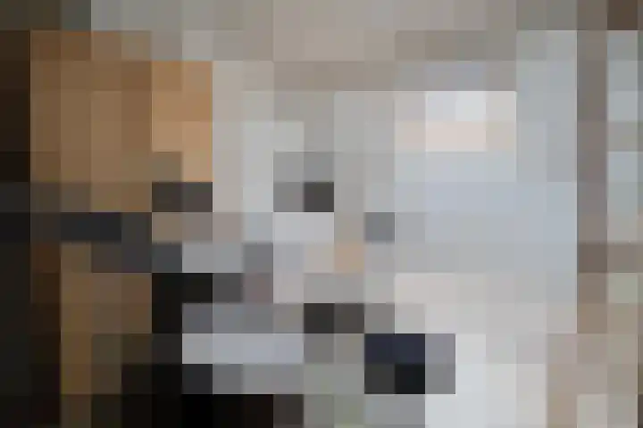 Baloeranstraat 47 Rotterdam thumbnail 13