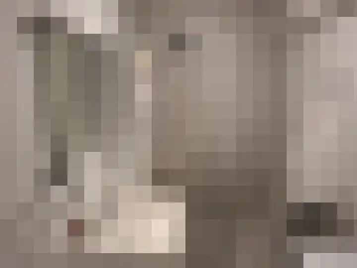 Baloeranstraat 47 Rotterdam thumbnail 17