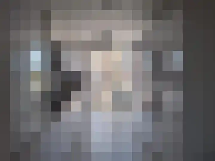 Baloeranstraat 47 Rotterdam thumbnail 5