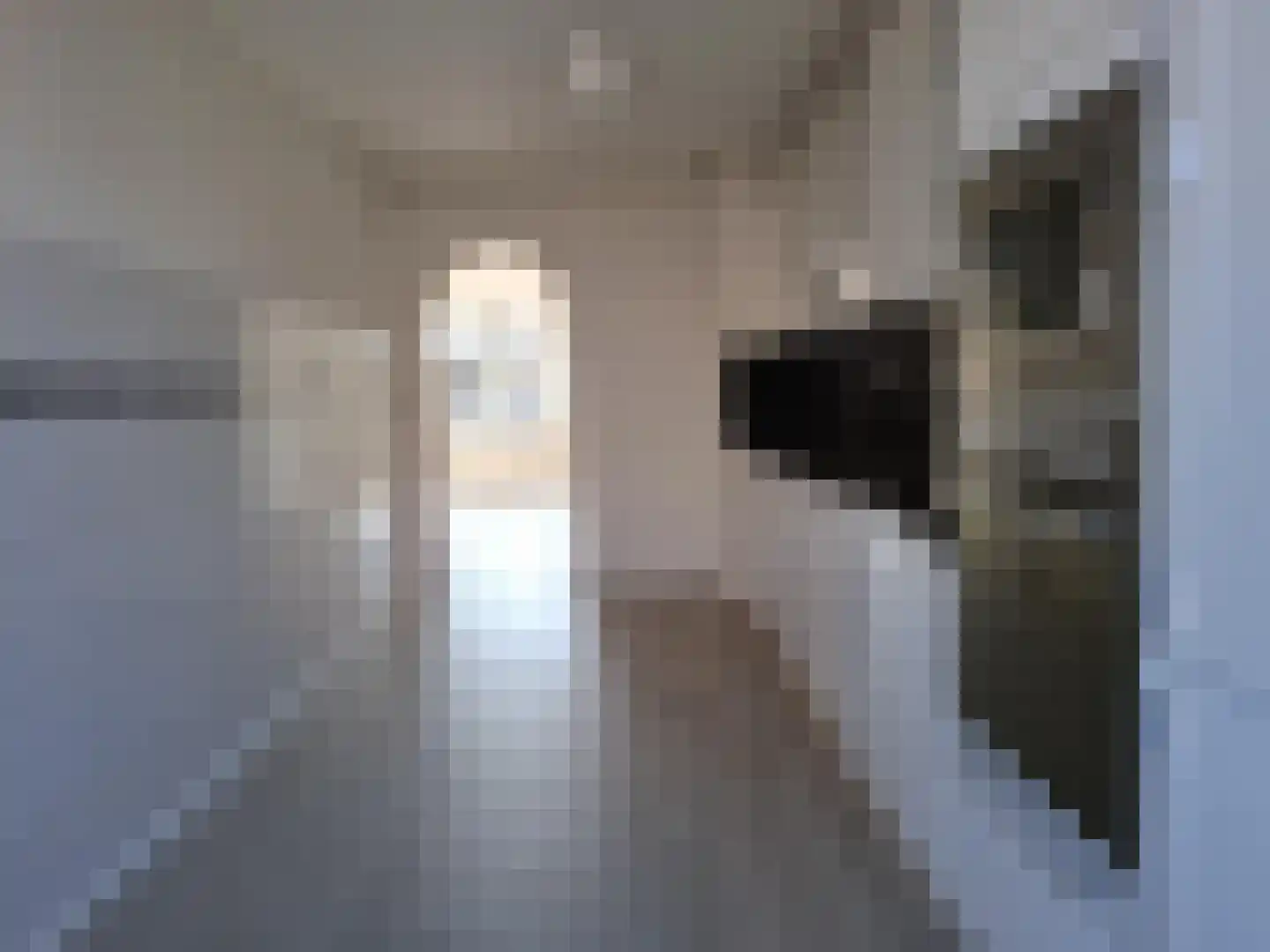 Baloeranstraat 63 Rotterdam thumbnail 7