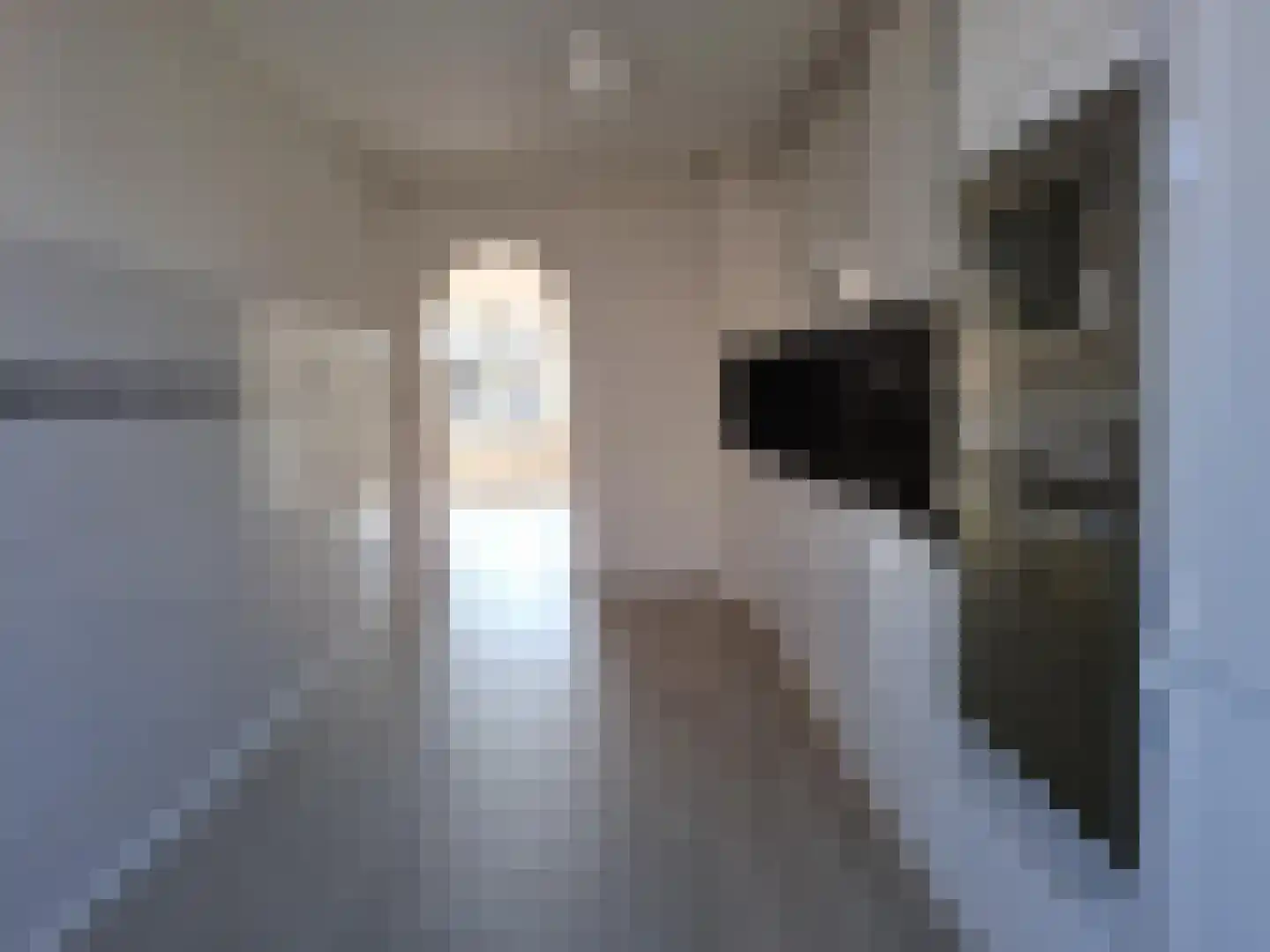 Baloeranstraat 63 Rotterdam thumbnail 7