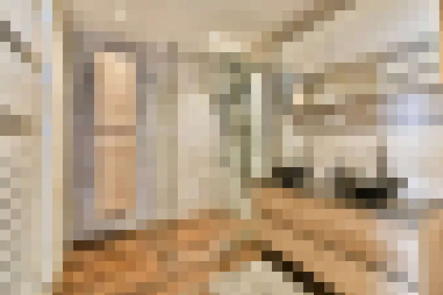 Balsa 117 Dordrecht thumbnail 4