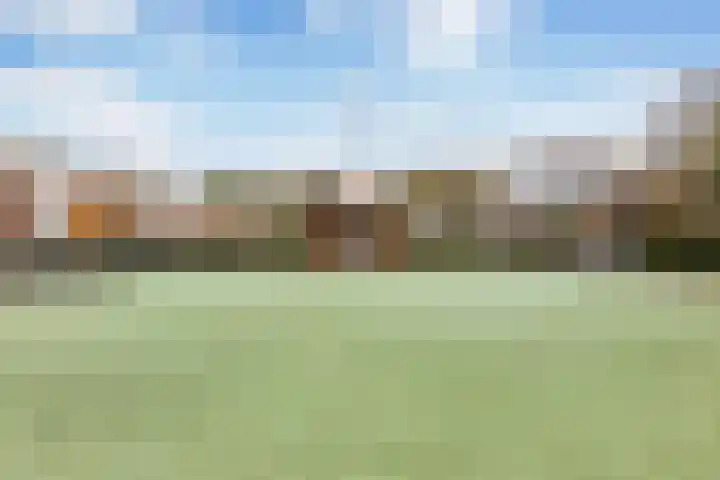 Balsa 187 Dordrecht thumbnail 41